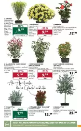 Dehner Flugblatt woche 11 Seite 5