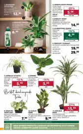 Dehner Flugblatt woche 11 Seite 6