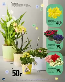 Føtex tilbudsavis uge 11 Side 67