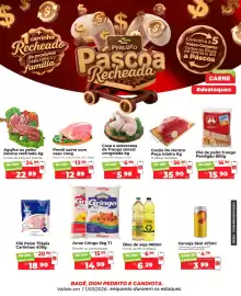 Encarte Peruzzo Página 1