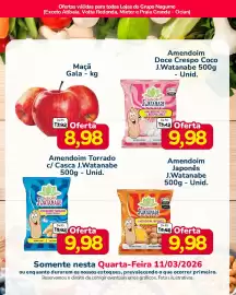 Folheto Nagumo Página 4