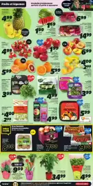 IGA flyer week 11 Page 3