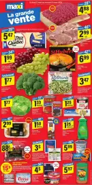 Maxi flyer week 11 Page 1