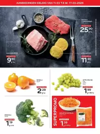 Alvo folder Pagina 3