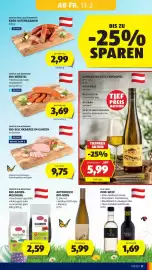 Hofer Flugblatt Seite 13