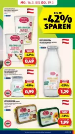 Hofer Flugblatt Seite 17