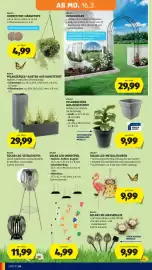 Hofer Flugblatt Seite 31