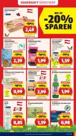 Hofer Flugblatt Seite 5