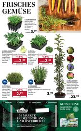 Dehner Prospekt woche 11 Seite 16