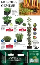 Dehner Prospekt woche 11 Seite 16