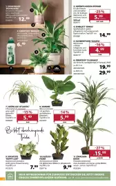 Dehner Prospekt woche 11 Seite 6