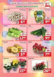 Catalog Auchan Pagină 3