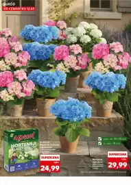 Kaufland gazetka tydzień 11 Strona 12