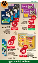 Żabka gazetka Strona 73