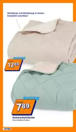 Action Flugblatt woche 11 Seite 10