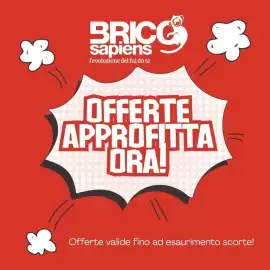 Volantino Brico Sapiens settimana 11 Pagina 1