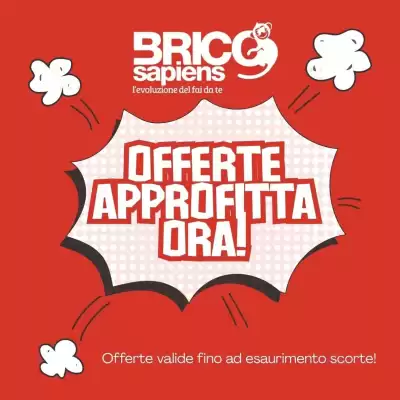Volantino Brico Sapiens (valido fino al 15-03)