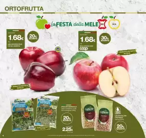 Volantino Superconti Pagina 4