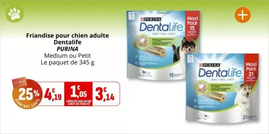 Catalogue Coccinelle Supermarché page 39