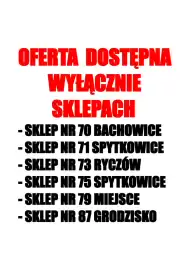 Wizan gazetka Strona 2