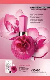 Folleto Gigot Página 63