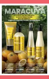 Folleto Gigot Página 82