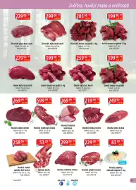 Astur&Qanto leták Strana 17