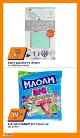 Action gazetka tydzień 11 Strona 17