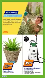 Action gazetka tydzień 11 Strona 21