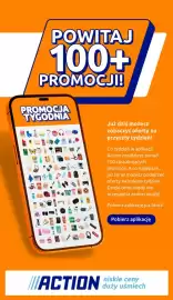 Action gazetka tydzień 11 Strona 31