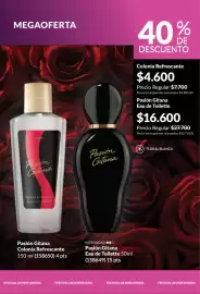 Catálogo Avon Página 102