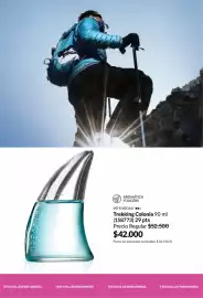 Catálogo Avon Página 110