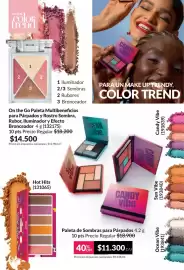 Catálogo Avon Página 53