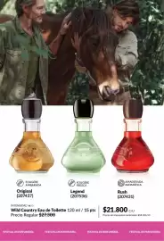 Catálogo Avon Página 94