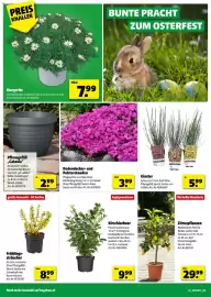 Hagebau Flugblatt Seite 2