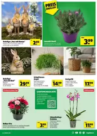 Hagebau Flugblatt Seite 3