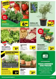 Hagebau Flugblatt Seite 4