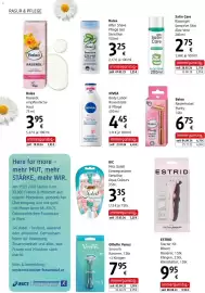 Dm Flugblatt Seite 14