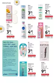 Dm Flugblatt Seite 14