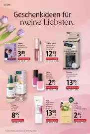 Dm Flugblatt Seite 18