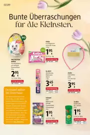 Dm Flugblatt Seite 20