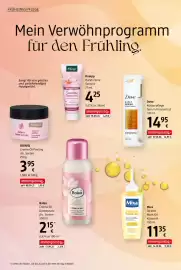 Dm Flugblatt Seite 4