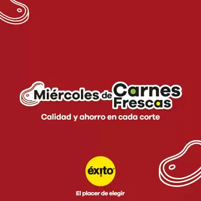 Catálogo Éxito (válido hasta 11-03)