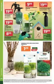 Stokrotka Market gazetka tydzień 11 Strona 20