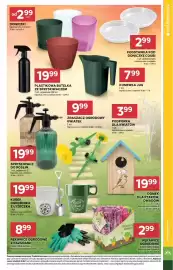 Stokrotka gazetka tydzień 11 Strona 37