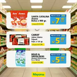 Catálogo Mayorsa Página 2