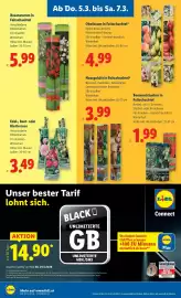 Lidl Flugblatt woche 10 Seite 30