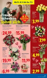 Lidl Flugblatt woche 10 Seite 31