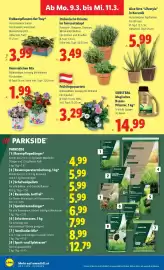 Lidl Flugblatt woche 10 Seite 35
