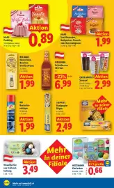 Lidl Flugblatt woche 10 Seite 45